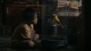Broken Wings