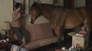 The horse