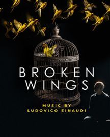BROKEN WINGS