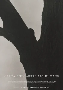 CARTA D UN ARBRE ALS HUMANS-POSTER CARTA D UN ARBRE ALS HUMANS-POSTER